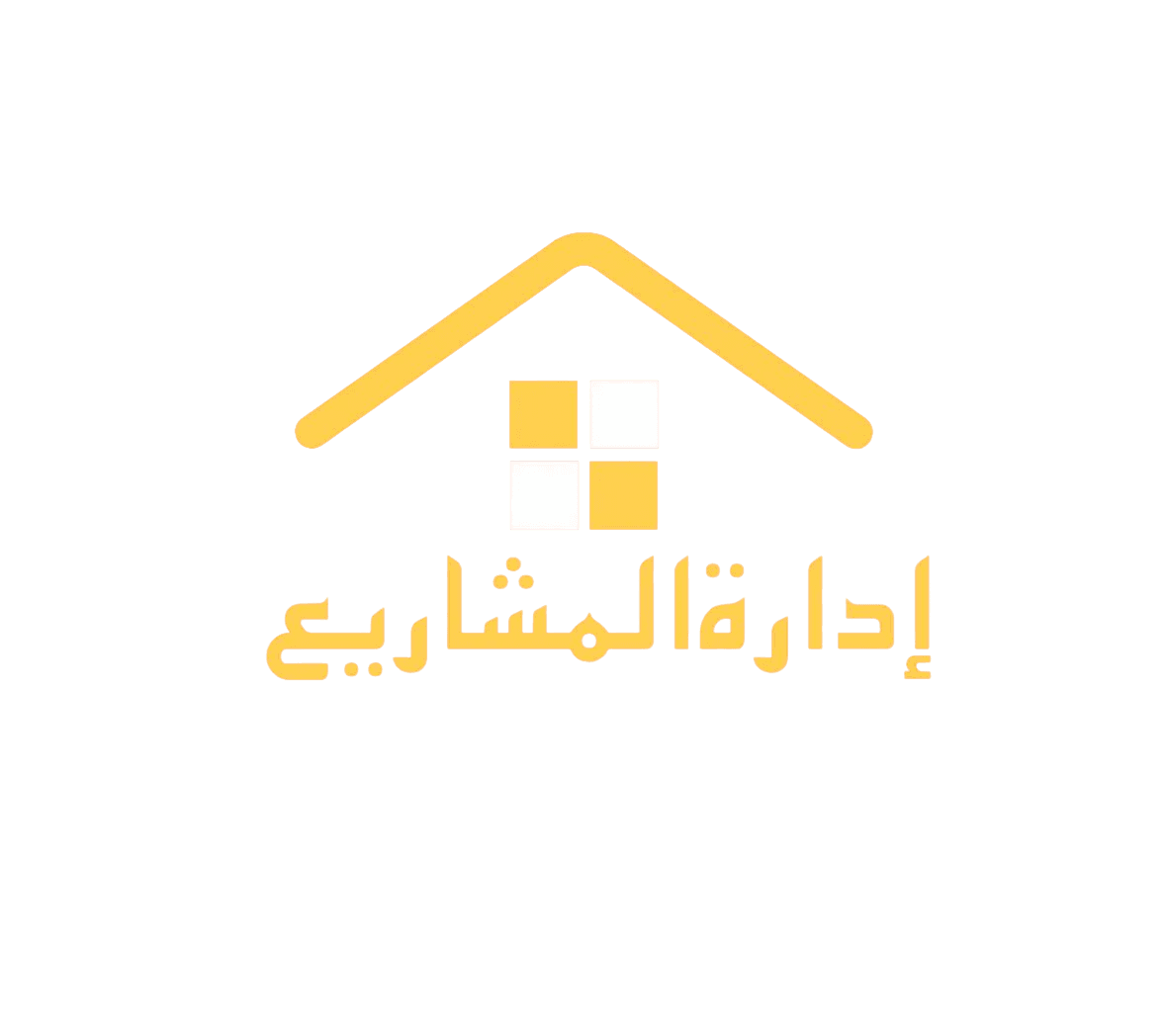 مدير المشروع